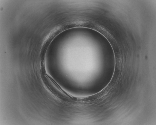 X0000073910734200608111157