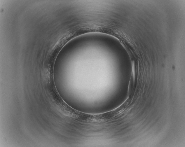 X0000073910739200608111157