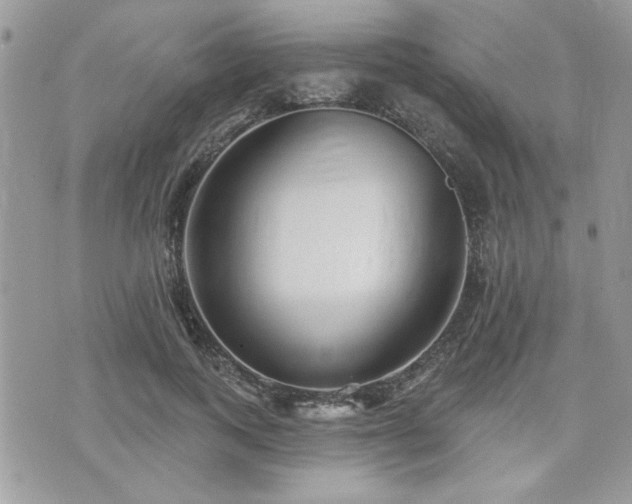 X0000073910743200608111157