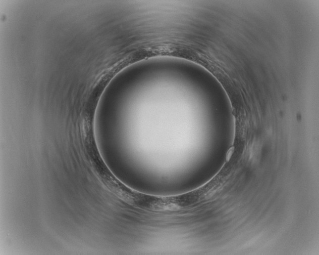 X0000073910747200608111157