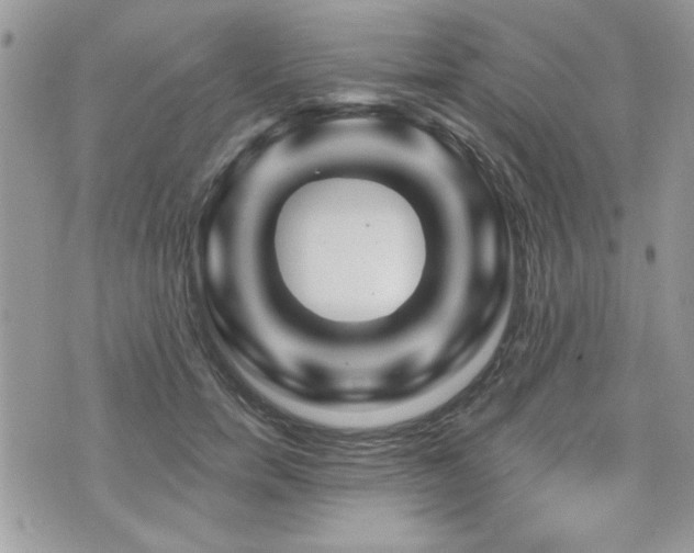 X0000073910750200608111157
