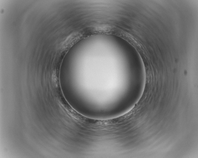X0000073910764200608111157