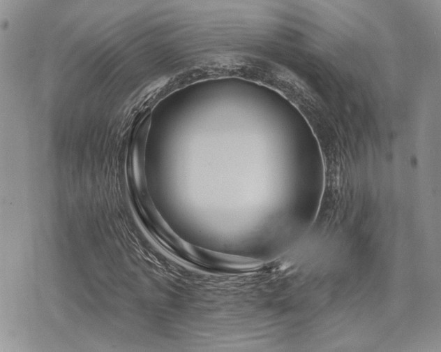 X0000073910773200608111156