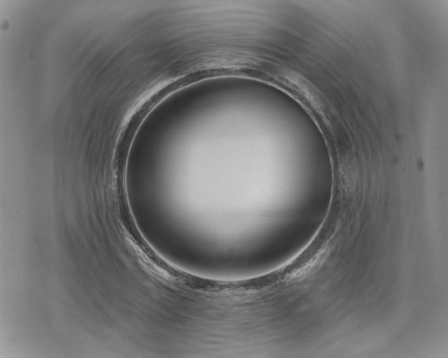 X0000073910779200608111156