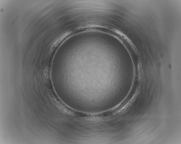 X0000073910785200608111156