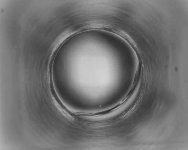 X0000073910795200608111156