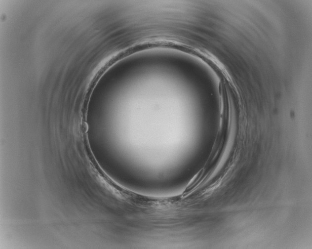 X0000073910799200608111156