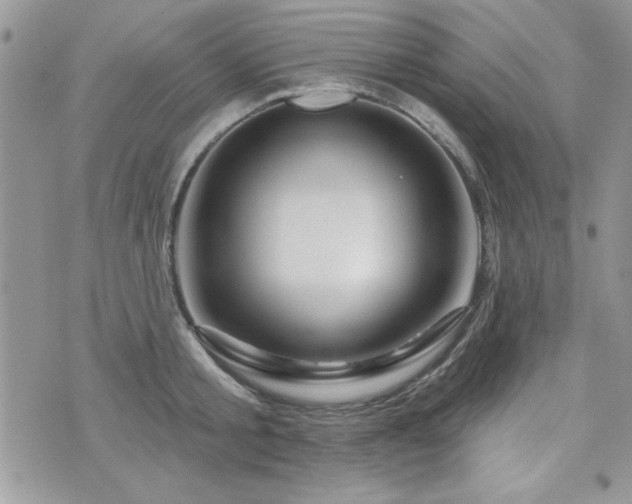 X0000073910805200608111156