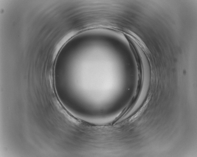 X0000073910812200608111156