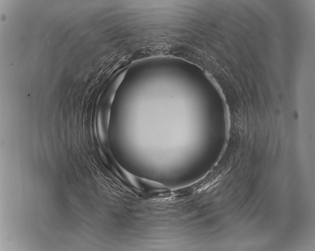 X0000073910818200608111155