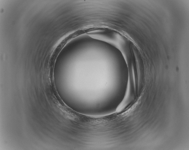 X0000073910830200608111155