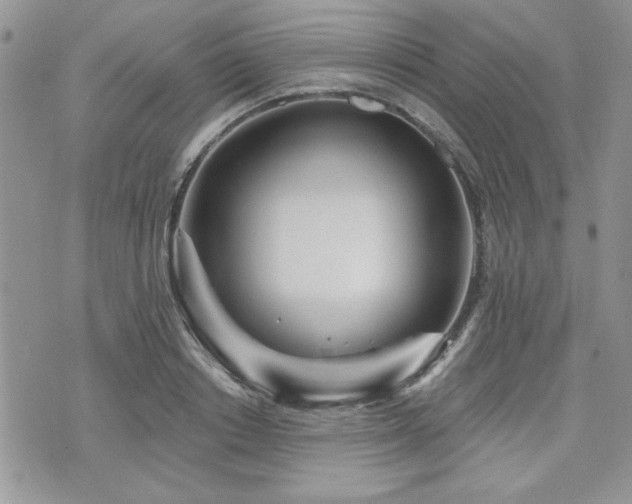X0000073910842200608111155