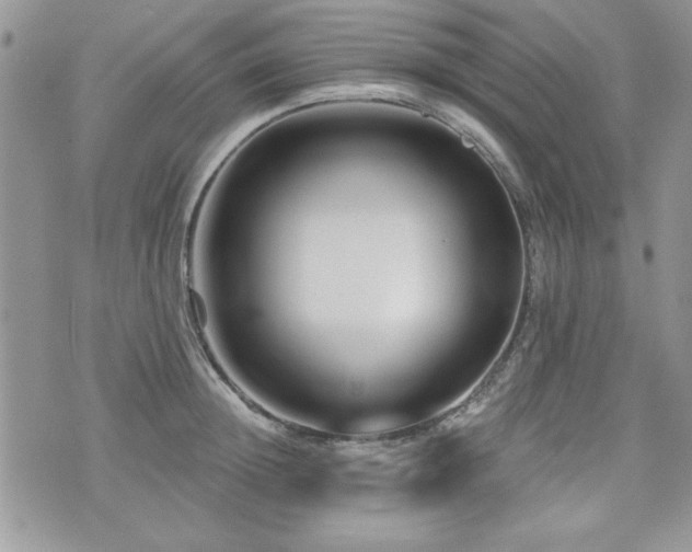 X0000073910852200608111155