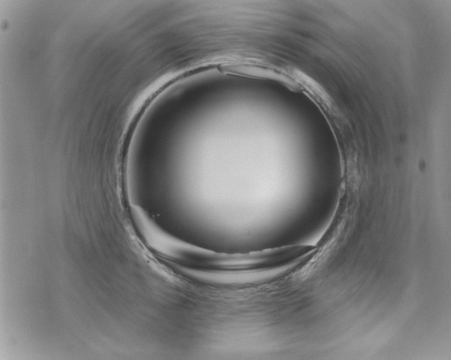 X0000073910854200608111155