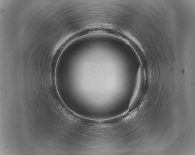 X0000073910877200608111155