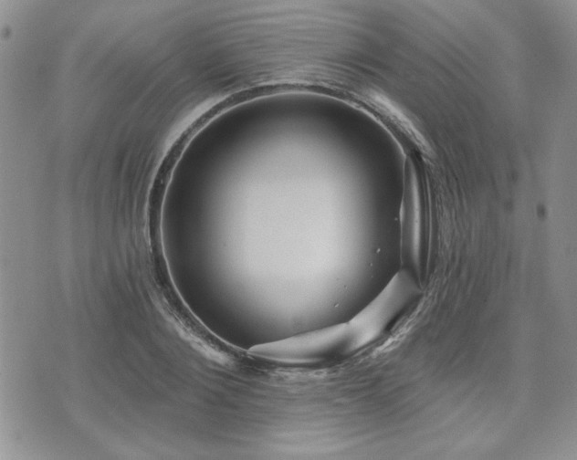 X0000073910884200608111155