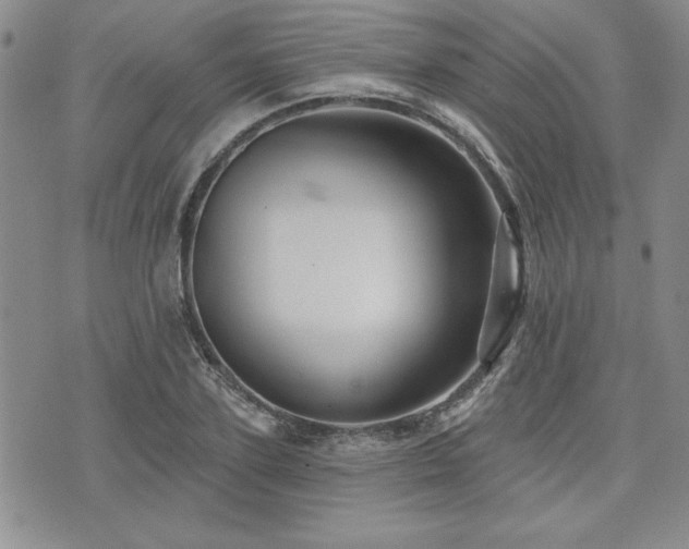 X0000073910931200608111154