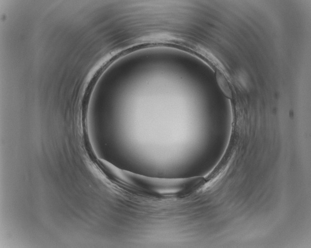 X0000073910939200608111154
