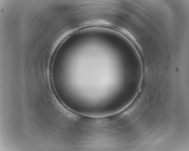 X0000073910947200608111154