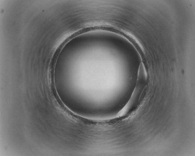 X0000073910983200608111153