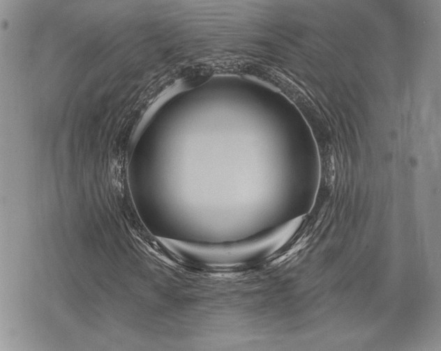 X0000073911010200608111152