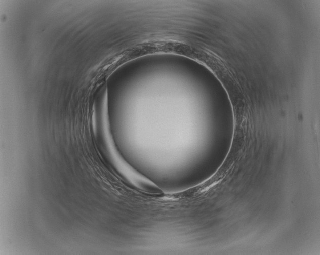 X0000073911014200608111152