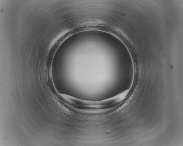 X0000073911018200608111152