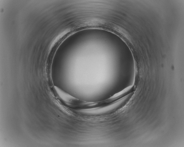 X0000073911026200608111152