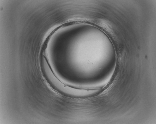 X0000073911030200608111152