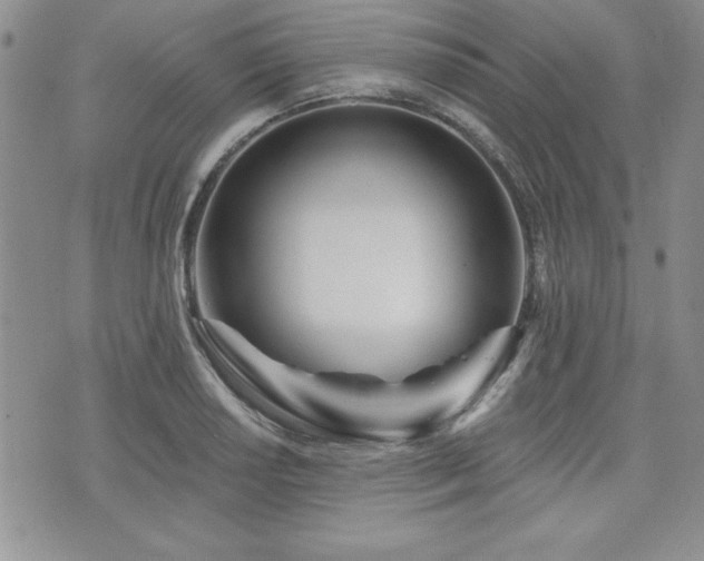 X0000073911034200608111152