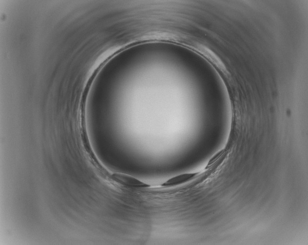 X0000073911044200608111152