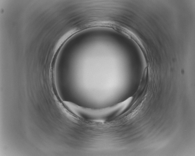 X0000073911050200608111152