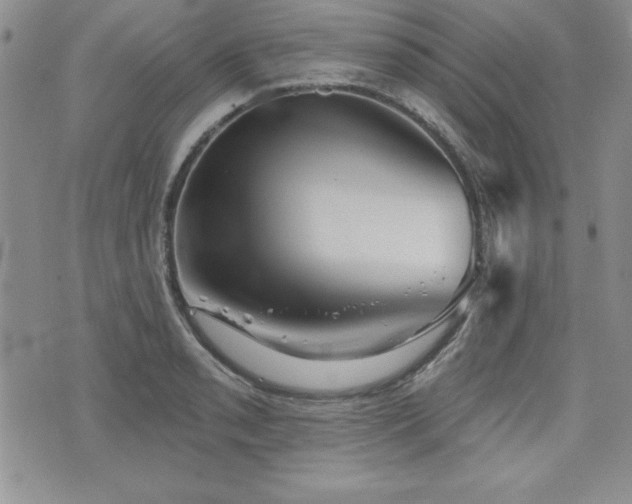 X0000073911085200608111151