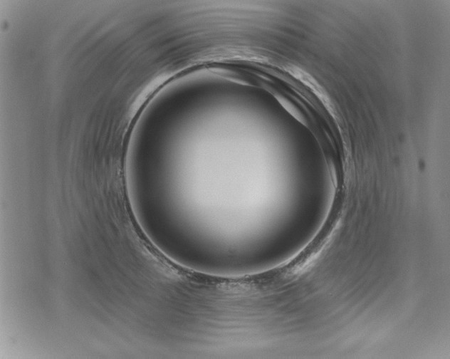 X0000073911089200608111151