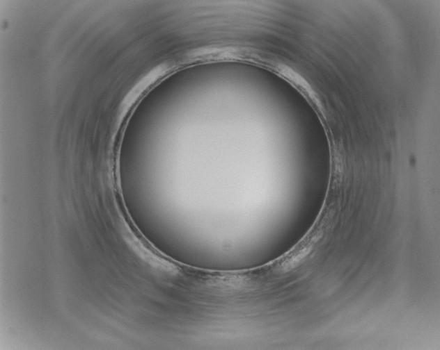 X0000073911090200608111151