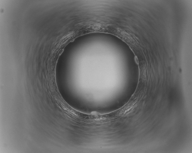 X0000073911105200608111150