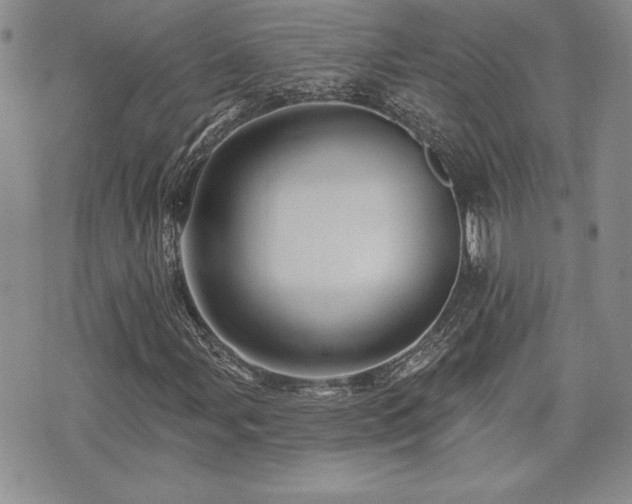 X0000073911107200608111150