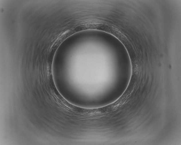 X0000073911108200608111150