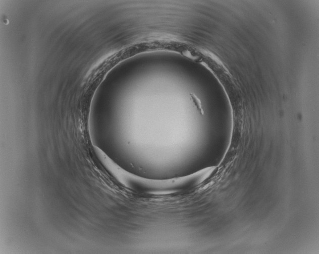 X0000073911112200608111150