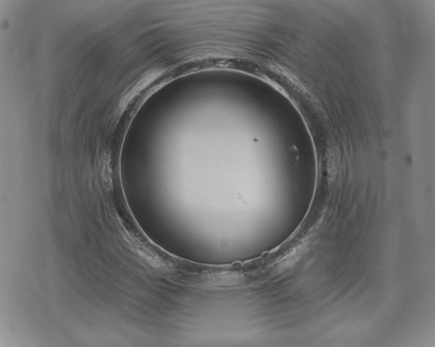 X0000073911113200608111150