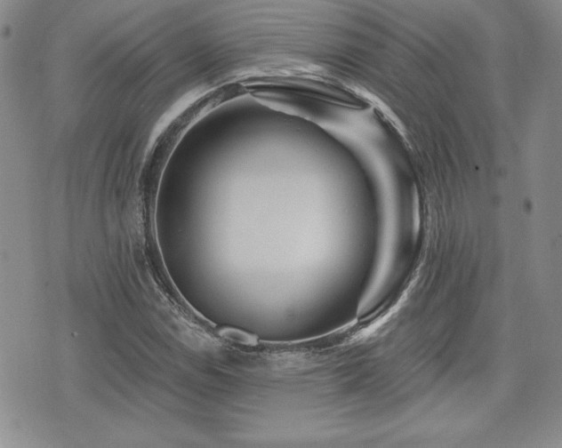 X0000073911114200608111150