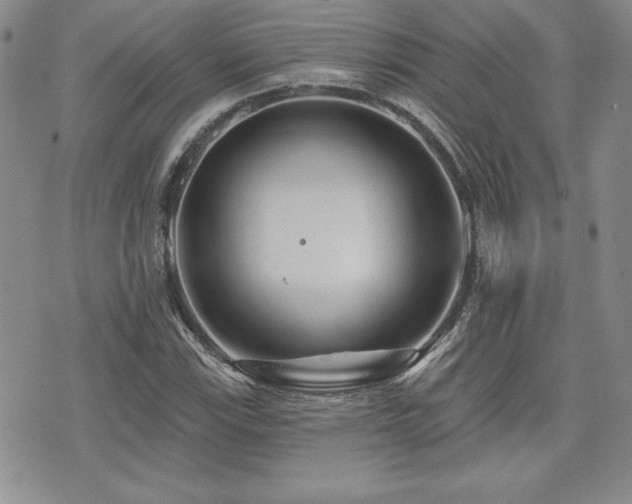 X0000073911115200608111150