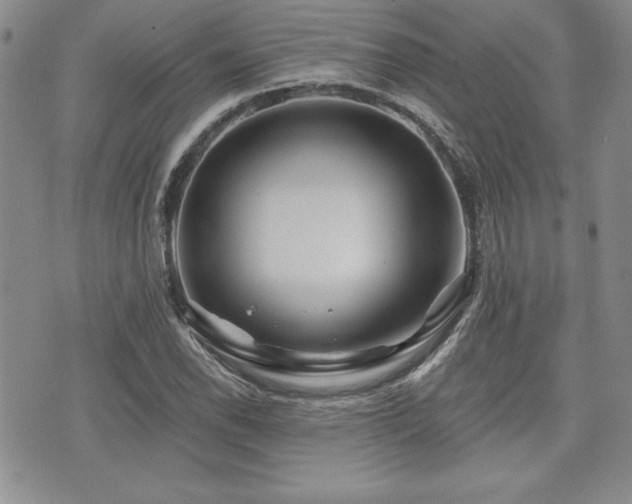 X0000073911118200608111150