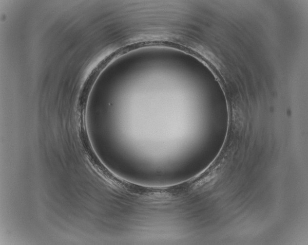 X0000073911119200608111150