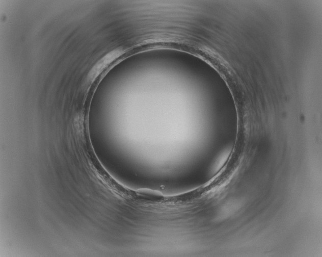 X0000073911121200608111150