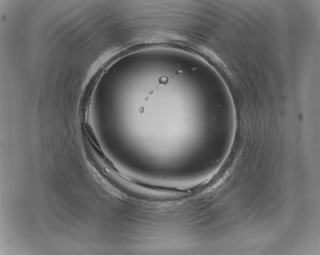 X0000073911122200608111150