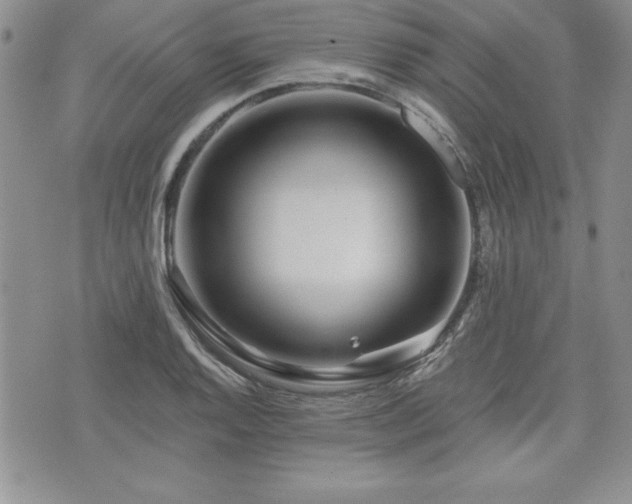 X0000073911128200608111151