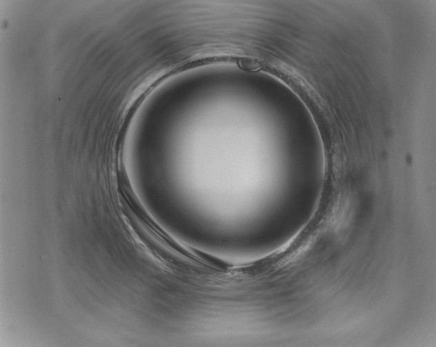 X0000073911129200608111151