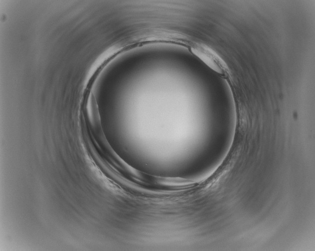 X0000073911138200608111151