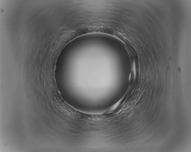 X0000073911153200608111150